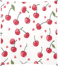 Camping Sun Shelters Cherry Berries on Stem Beach Canopy 126 * 110.2in