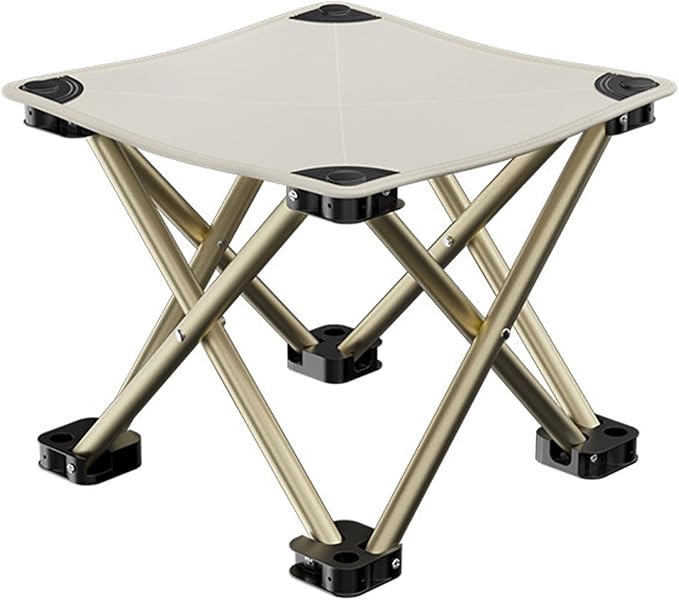 Camping Chairs Camping Stool Folding Samll Chair Portable Stool for Camping Fishing Hiking Gardening Camping Chair with Carry Bag