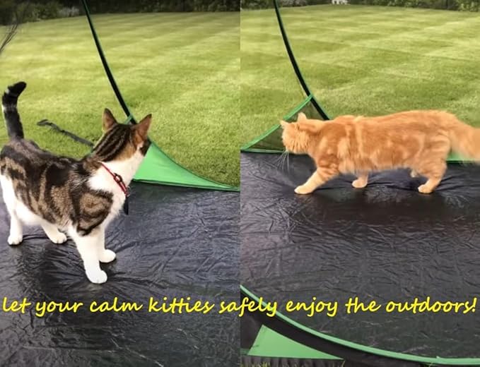 SANSBUG Screen Tent for One Person (Instant Pop up Strong No-See-um Mesh Durable Tarp Floor)