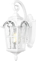 Emliviar Outdoor Wall Lights 1-Light Modern Outside Lights for House 17.5 Inch Height with Water Glass White Finish WE215B WH