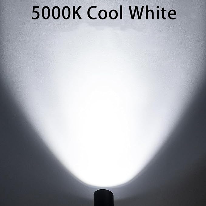 EAGLOD 20W Spot Lights Outdoor 5000K Daylight White Flag Pole Light 12V~24V AC/DC LED Landscape Spotlights Waterproof Low Voltage Landscape Lighting Outdoor (Black 20W Daylight(5000K))