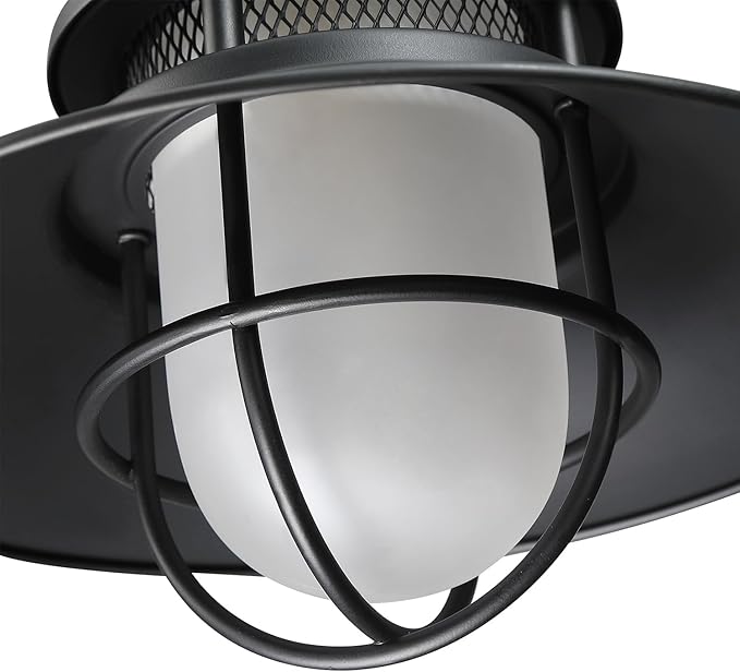 Outdoor Gooseneck Barn Light Fixture with Cage - Exterior Wall Sconce Farmhouse Gooseneck Light Outdoor Porch Sconce for Garage Coastal Lantern for Outside