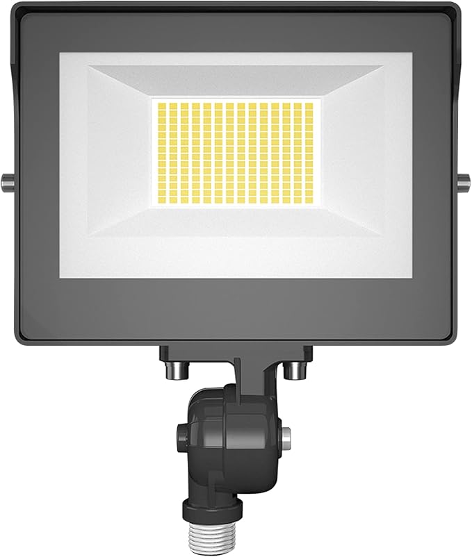 RAB Lighting Flood FA 35W LED 120-277V