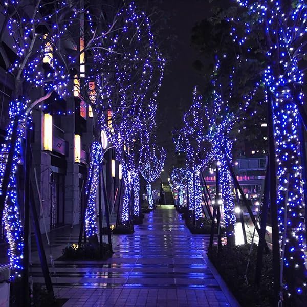 kemooie 500 LED Blue and White Christmas Lights 164FT 8 Lighting Mode with Memory Plug in Christmas Tree Lights for Outdoor Birthday Christmas Party Garden Balcony Decorations (Blue and White)