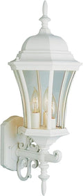 Trans Globe Lighting 4503 WH Outdoor Burlington II 23.5 Wall Lantern White