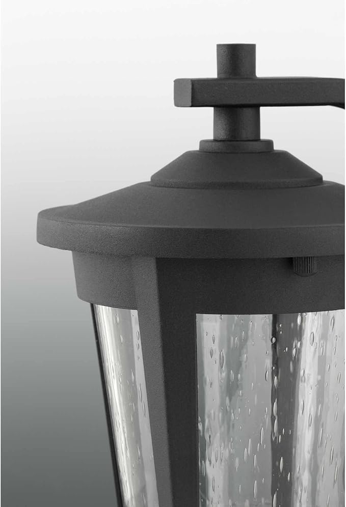 Progress Lighting East Haven LED Collection 1-Light Clear Seeded Glass Transitional Outdoor Large Wall Lantern Light Antique Bronze