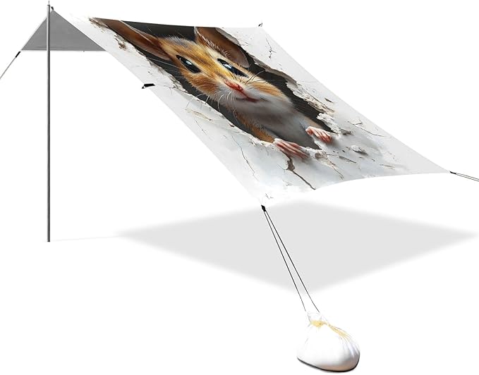 Camping Sun Shelters Mouse Broken Wall Beach Canopy 126 * 110.2in