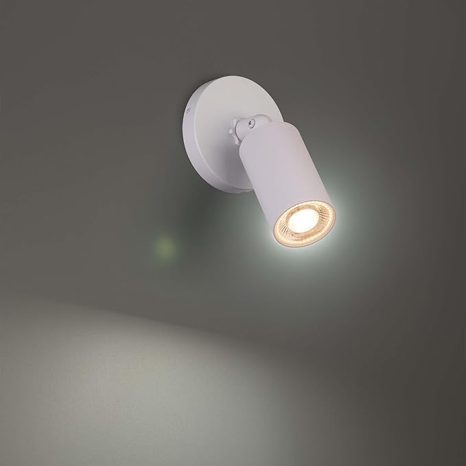 Cylinder LED Single Adjustable Indoor or Outdoor Wall Light 3000K in White