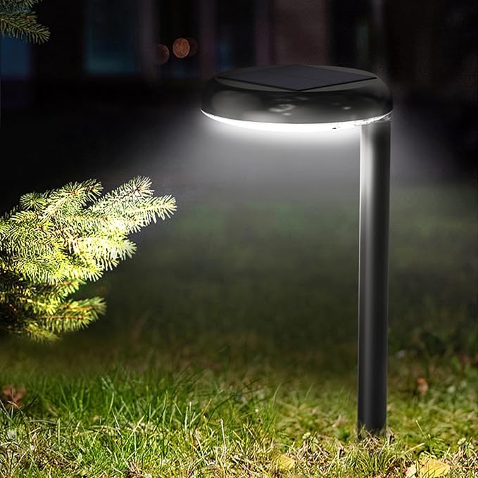 Solar Pathway Lights - Super Bright 300 Lumens with 2-in-1 Warm White &amp Daylight Color Solar Path Lights for Pathway Sidewalk Driveway GardenParterre etcLandscape Lighting (2-Pack)