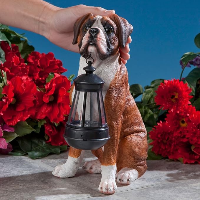 Bits and Pieces - Dog Solar Lantern Statue - Solar Powered Garden Lantern - Resin Dog Sculpture with LED Light - Outdoor Lighting and Décor (Boxer)