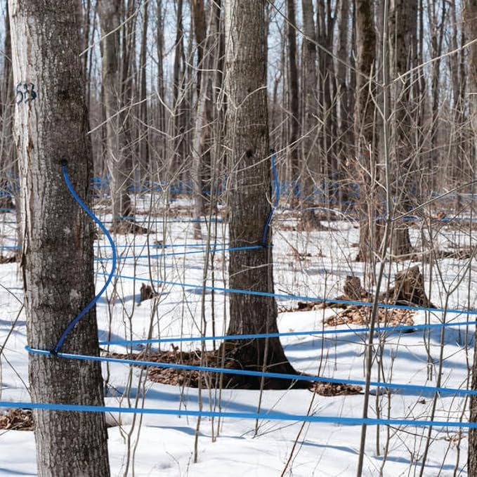 120 Ft Maple Syrup Tree Tapping Tubing Line