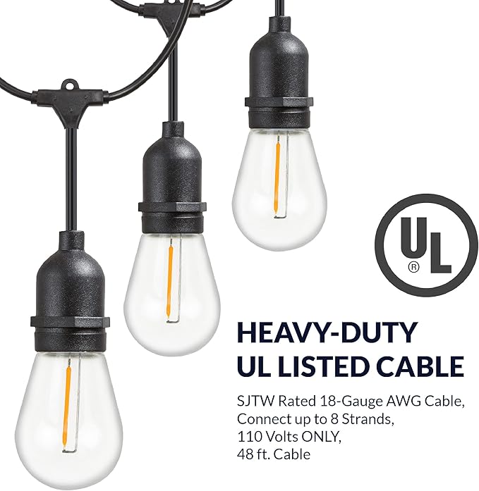 Newhouse Lighting LED String Lights with Weatherproof Technology Dimmable with Wireless Remote Control 48ft and 16 (15+1 Free) LED Light Bulbs Included Black (CSTRINGLEDDIM)