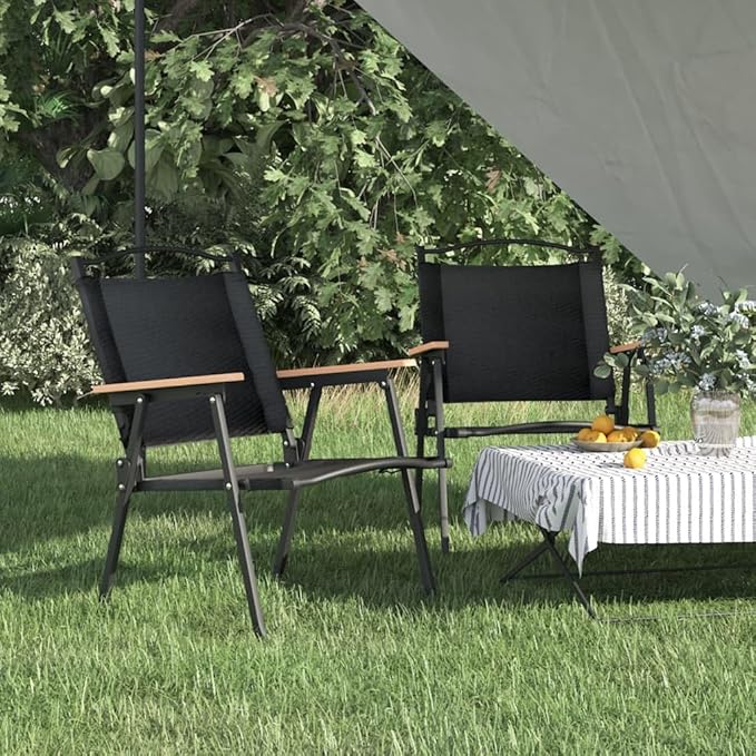 Folding Camping Chairs Set of 2 Black 21.7 x 21.3 x 30.7 in Lightweight Outdoor Chairs for Patio Deck Garden Terrace Portable Picnic Lawn Seating 220 lb Capacity for Beach Camping