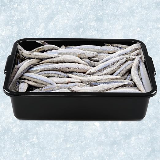 Bringer 12-Pack Commercial Bus Tubs 13 L Plastic Bus Box Black