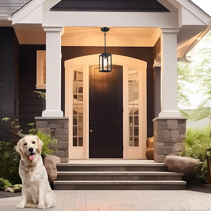 11'' Dusk to Dawn Outdoor Pendant Light Modern Outside Chandelier Outdoor Hanging Lantern Light Matte Black with Clear Glass Exterior Pendant Lighting Fixture for Porch Yard Gazebo 1Pack (Small)