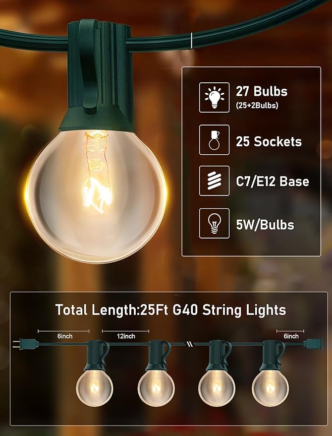 25FT Outdoor String Lights with 27 Clear Bulbs G40 Globe Patio String Lights for Indoor/Outdoor Connectable Hanging Lights for Backyard Porch Balcony Party Decor - Green Wire