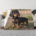 Dachshund Puppy 60x50 Printed Soft Fleece Blanket for Sofa Bed and Camping - Cozy Blanket for Travel Picnics Nighttime Use