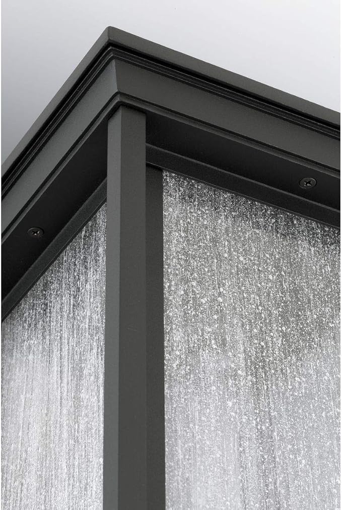 Progress Lighting Endicott Collection 1-Light Clear Seeded Glass Craftsman Outdoor Medium Wall Lantern Light Textured Black