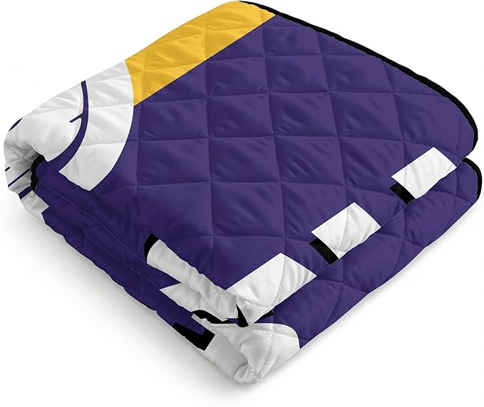 Northwest NBA Taffeta Outdoor Blanket Foldable Camping Picnic Ground Mat 60 x 70 Inches