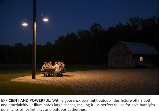 AGB101-AS20-GAL Gooseneck Barn Light - Galvanized Outdoor Dome with Incandescent Downlight | Wall-Mount Fixture for Patios Gardens Pathways and Large Outdoor Living Spaces