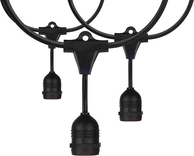 Satco S8039 Incandescent Indoor/Outdoor String Lights Black Bulbs Not Included 24 Feet (Pack of 1)