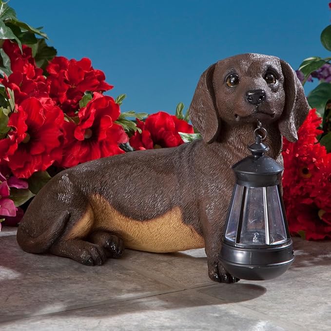 Bits and Pieces - Dog Solar Lantern Statue - Solar Powered Garden Lantern - Resin Dog Sculpture with LED Light - Outdoor Lighting and Décor (Dachshund)