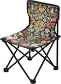 Rabbit and Grass Portable Camping Chairs Folding Chair - Durable Oxford Fabric Lightweight Iron Frame Easy Fold Design - Ideal for Outdoor Activities Camping Fishing and Travel