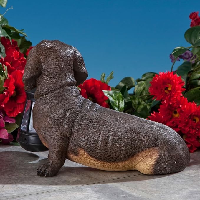 Bits and Pieces - Dog Solar Lantern Statue - Solar Powered Garden Lantern - Resin Dog Sculpture with LED Light - Outdoor Lighting and Décor (Dachshund)