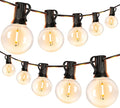 Newhouse Lighting PSTRINGLED50 Foot 50 Socket Indoor/Outdoor String 55 LED Globe G40 (5 Free Bulbs Included) Wedding Lights Decorations for Patios Porches Backyards Decks Bistros 50ft