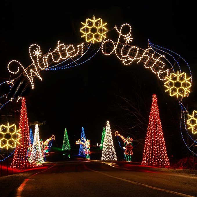 DBFAIRY 24-inch LED Christmas Snowflake Window Lights Large Outdoor Snowflake Hanging Silhouette Xmas Decor Light with Timer 16.8ft Plug-Powered Cable