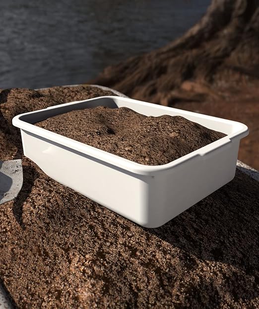 5-Pack Commercial Bus Tubs Box/Tote Box White Plastic Storage Bin with Handles/Wash Basin Tub (8 Liter)