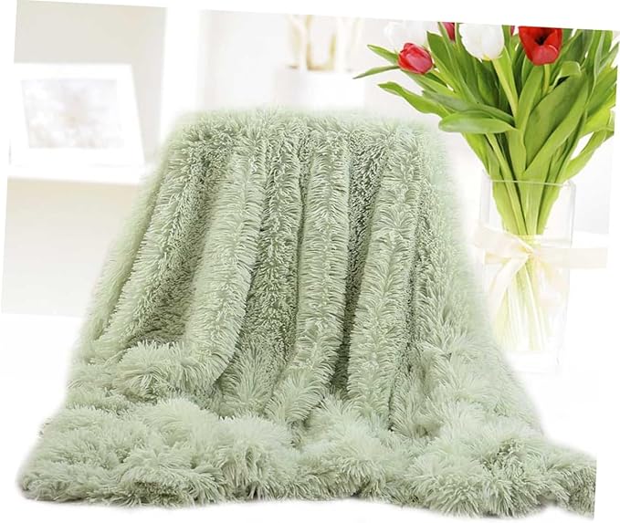 Mobestech Plush Throw Blanket Soft Solid Color Fleece Blanket Mint Green for Cozy Home Use Lightweight and Warm for Winter Camping and