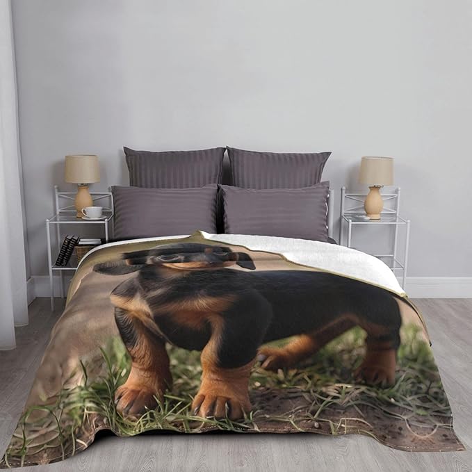 Dachshund Puppy 60x50 Printed Soft Fleece Blanket for Sofa Bed and Camping - Cozy Blanket for Travel Picnics Nighttime Use