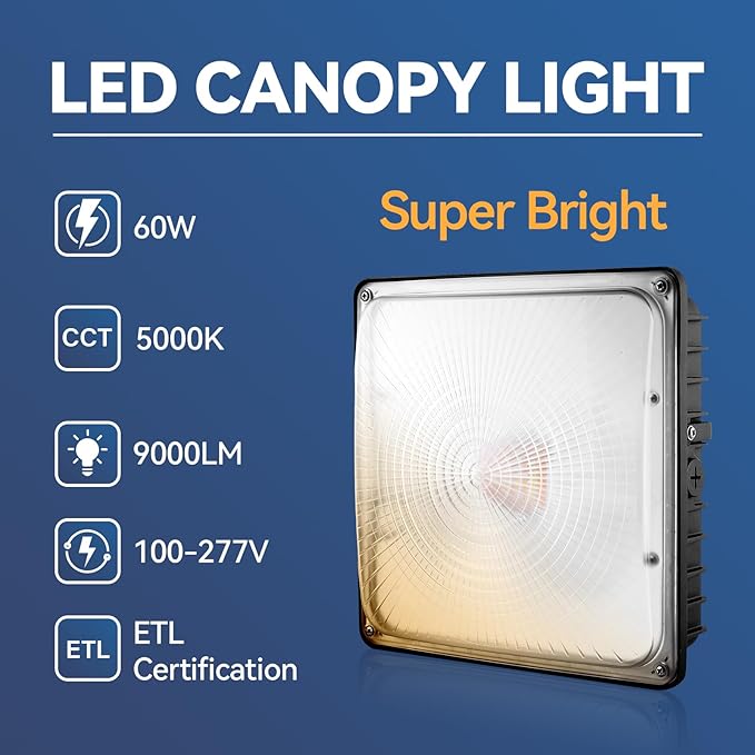 60W LED Canopy Light 4Pack 5000K Daylight LED Canopy Lights Outdoor IP65 Waterproof Gas Station Area Light for Carport Garage Shop Warehouse 100-277VAC ETL Listed