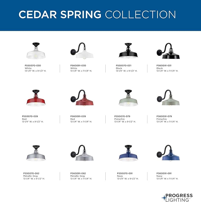 Progress Lighting Cedar Springs Collection 1-Light Farmhouse Outdoor Extra-Large Wall Lantern Light Red