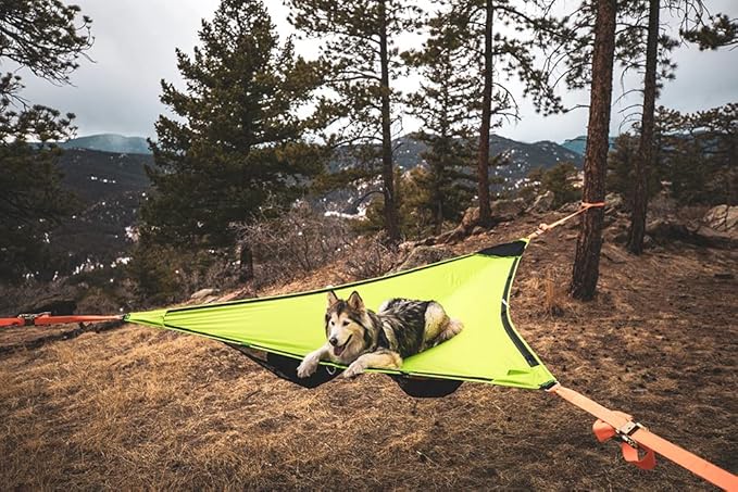 Tentsile Duo 2P Double Hammock – Camping and Lounging Hammock for Backyards Festivals Roo Picnics Outdoor Campouts Black Two Person Designed in The UK (2024)
