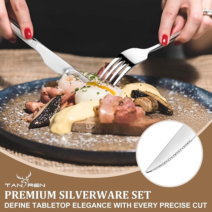 TAN REN Silverware Set for 4 20-Piece Stainless Steel Flatware Sets Heavy Duty Forks and Spoons Silverware Set with Dinner Knives Mirror Polished Cutlery Sets Dishwasher Safe Kitchen Utensils