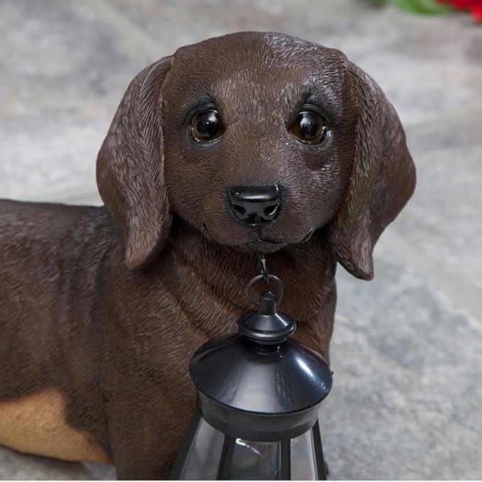 Bits and Pieces - Dog Solar Lantern Statue - Solar Powered Garden Lantern - Resin Dog Sculpture with LED Light - Outdoor Lighting and Décor (Dachshund)