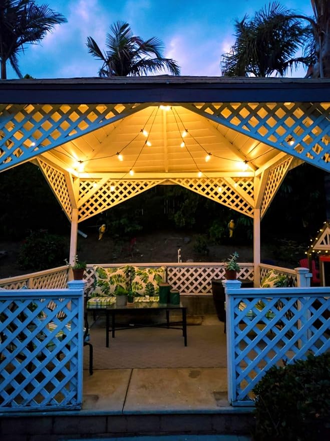 Brightech Ambience Pro Solar Powered Outdoor String Lights - Commercial Grade Patio Lights with 48 Ft Edison Bulbs - Shatterproof LED Solar Lights for - 1W LED Warm White Light