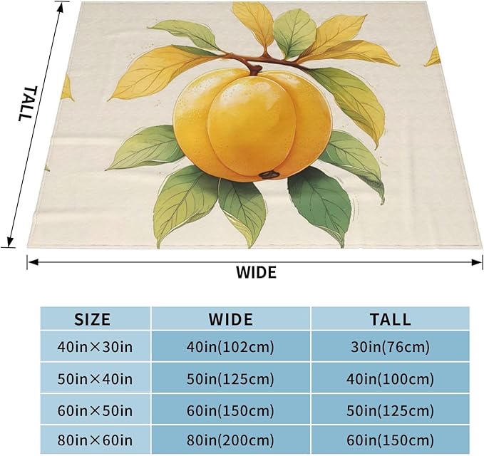 Loquat Soft Fleece Blanket 60 * 50 inch Soft Sofa Blanket Suitable for Sofa Camping Travel Night Cover Blanket