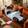 Dreaming Arts Fluffy Cat Sleeping Bags for Adults Soft Cozy Plush Cat Print Envelope Sleeping Bag for Kids Cat Lovers 68.89 inch Washable Warm Blanket for Camping Travel and Sleepovers Home
