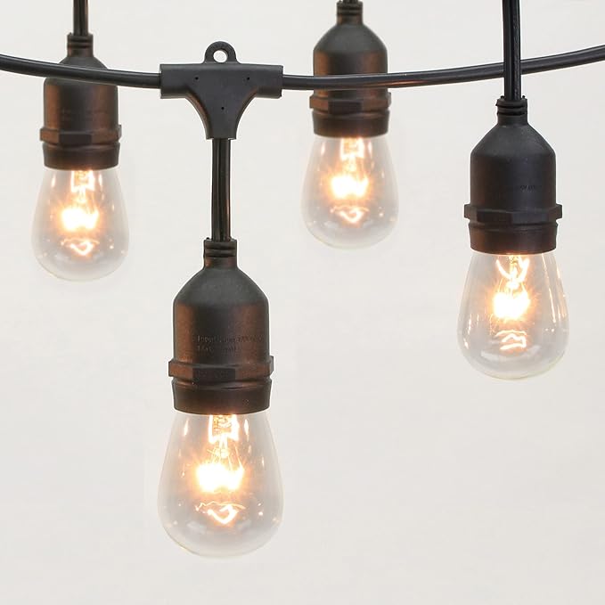 Philips 15 Clear Incandescent Edison Bulb Lights