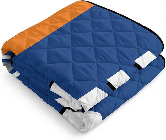 Northwest NBA Taffeta Outdoor Blanket Foldable Camping Picnic Ground Mat 60 x 70 Inches