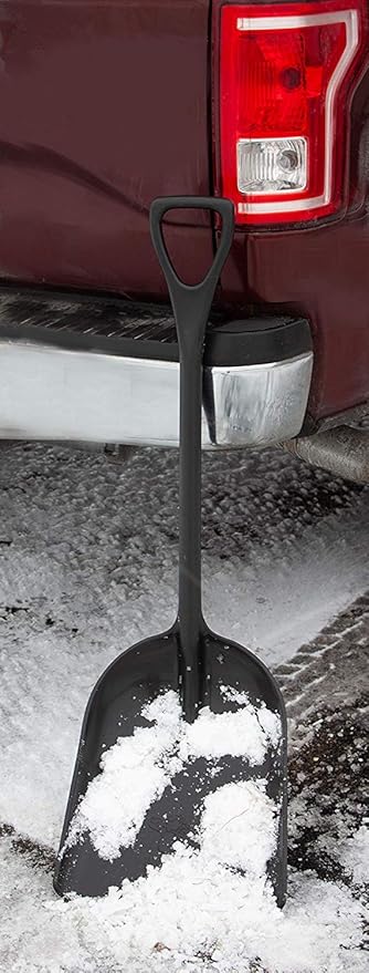 ONE Piece Poly D Handle Scoop
