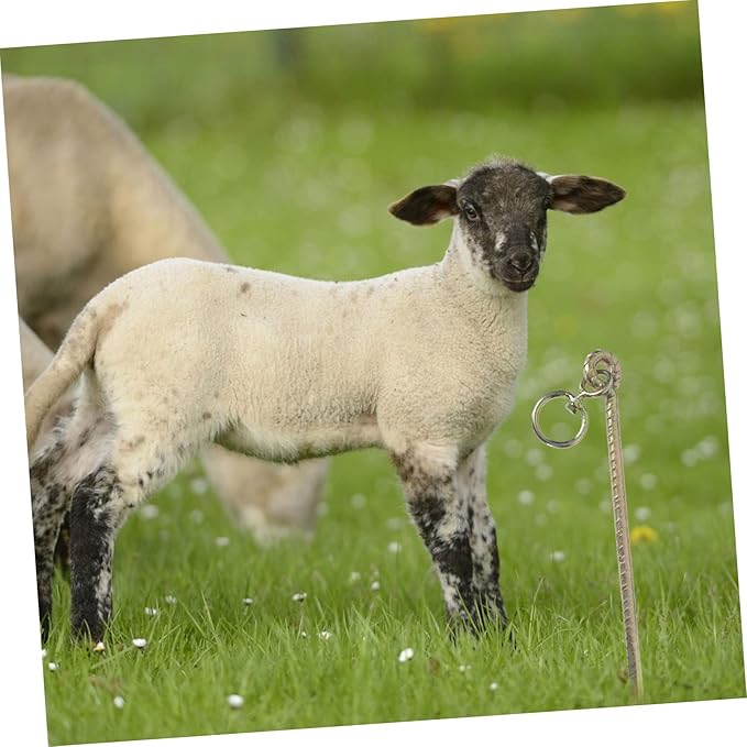 1pc Cattle Fixing Rod Stake for Livestock Tie-Out Easy Install Ground Nail for Dogs Large for Camping and Outdoor Use