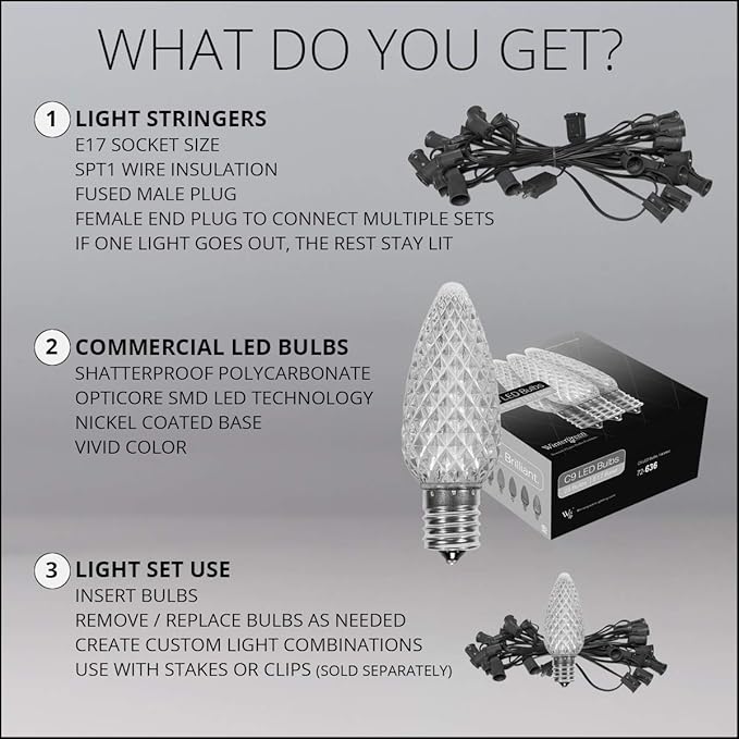 Wintergreen Lighting 25 C9 OptiCore LED Commercial Outdoor Christmas Lights – Heavy Duty Christmas String Lights Green Wire (25 ft Warm White)