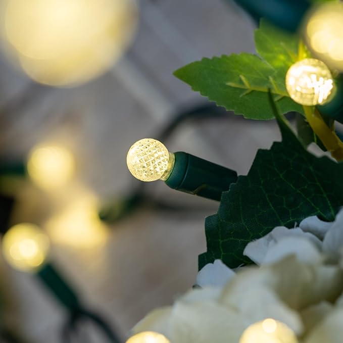 YULETIME Warm White One-Piece G12 Raspberry Christmas Lights 140 Count 48 Feet 2 Sets 70 LED 24 ft High Waterproof UL Certified String Light (Warm White)