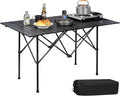 REDCAMP Roll Up Camping Tables That Fold Up Lightweight Portable Compact Metal Camp Table for Grill Outdoor Picnic Black Long 47x28