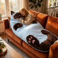Fluffy Cat Sleeping Bag 68.9×31.5 Inch Soft Plush Warm Wearable Blanket Envelope Sleeping Bag for Camping Travel Sleepovers &amp Home Lounging (D)