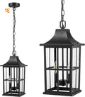 Emliviar Dusk to Dawn 2-Light Large Porch Light Outside Chandelier for Yard 15.4 Black Hanging Lantern Light Fixture with E12 Base Clear Glass YXE306H-M-PC BK
